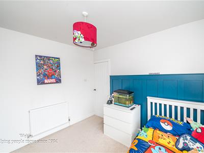 Picture 20
